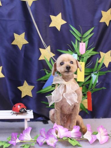 20230704マークくん